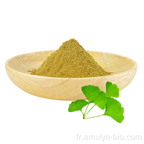 Extrait de feuille de Ginkgo Biloba Poudre Gingko Flavone Glycosides